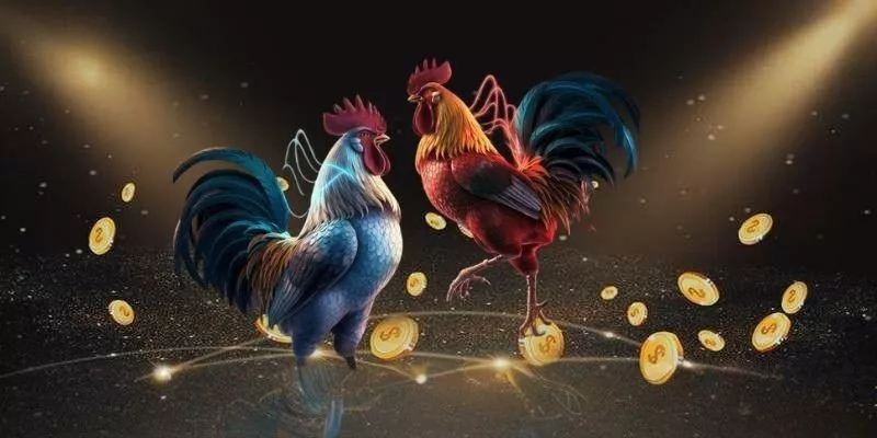 Giới thiệu về đá gà tre tại vin88 - Xu hướng mới trong cộng đồng người chơi gà cảnh